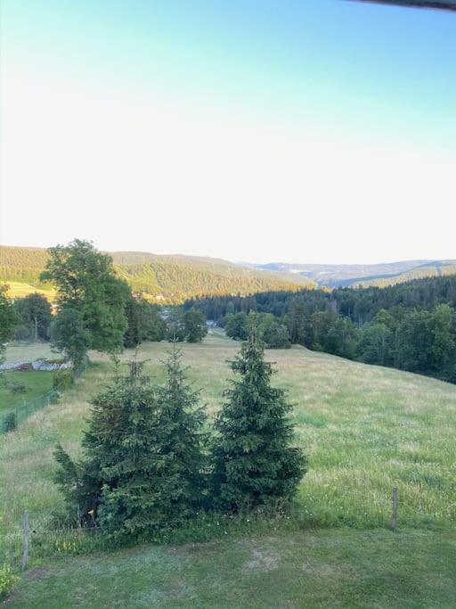 Appartement Lumineux Avec Vue Sur Les Montagnes Morbier Dış mekan fotoğraf