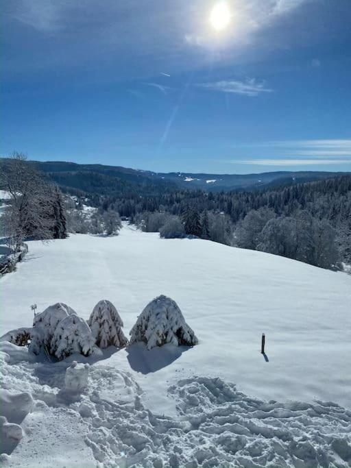 Appartement Lumineux Avec Vue Sur Les Montagnes Morbier Dış mekan fotoğraf