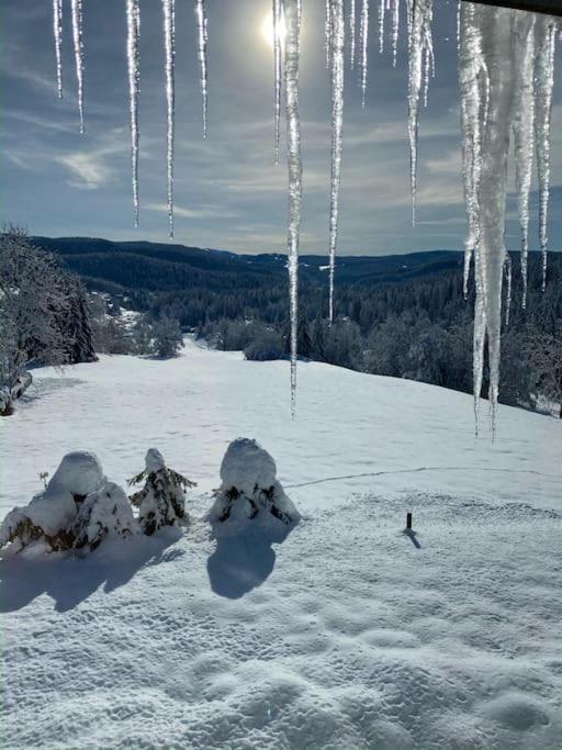 Appartement Lumineux Avec Vue Sur Les Montagnes Morbier Dış mekan fotoğraf